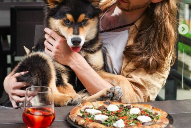 Atya the puppy enjoying the dog-friendly patio at Yaletown